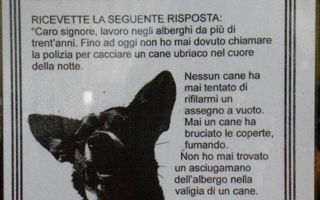 Flat-Coated Retriever asciugamano