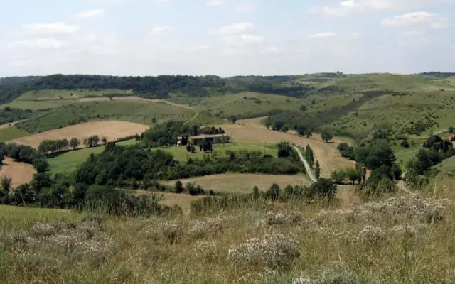 Laval Bassette