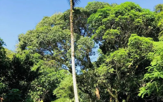 Pousada Praia da Crena