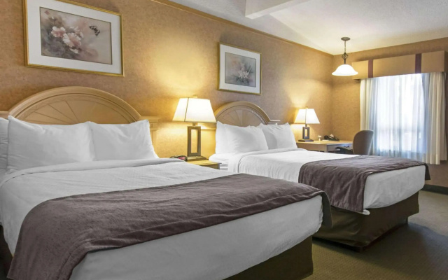 Flamingo Hotel