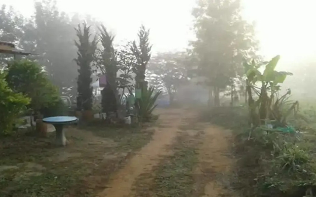 Pooarbdao 2