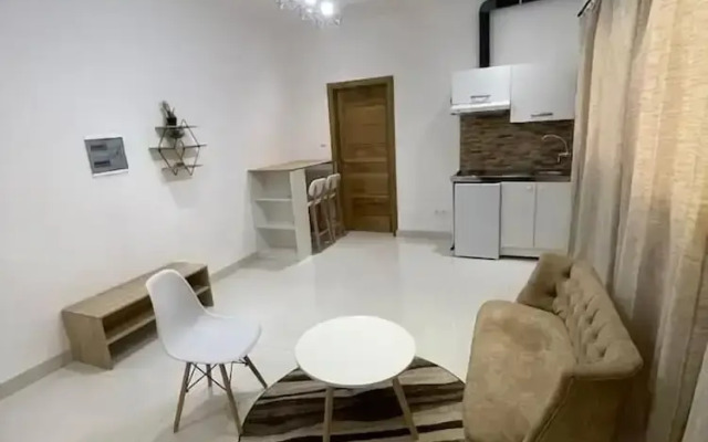 Luxurious Studio for Rent