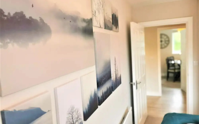 New Apartment