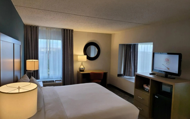 Comfort Inn & Suites Alexandria West