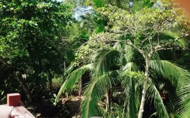 Casa Manglar Guesthouse