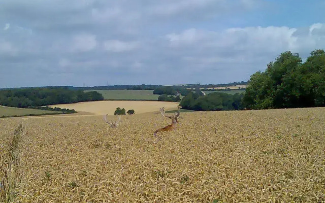 Chilgrove Farm Bed & Breakfast