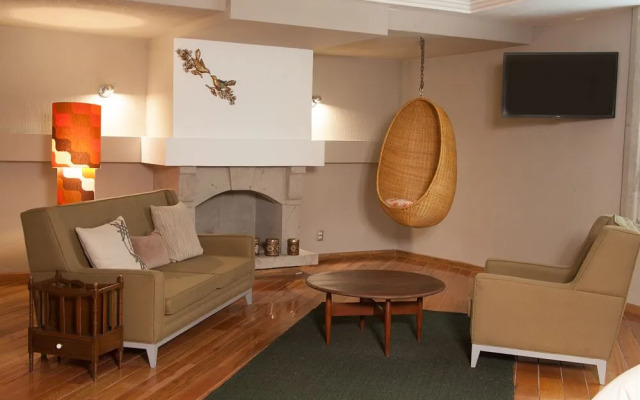 Pug Seal B&B Coyoacan