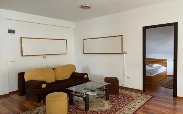 Olanesti Apartments