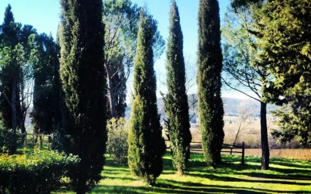 Fattoria Di Casavecchia