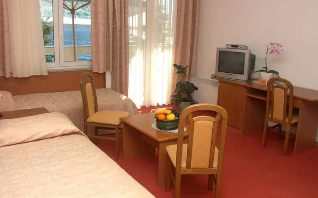 Villa Vicko