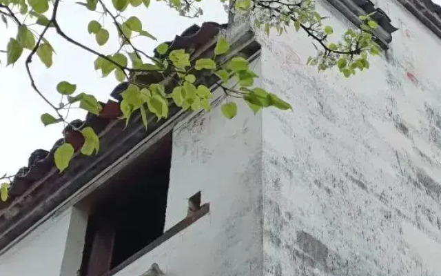 Jiangling Guesthouse