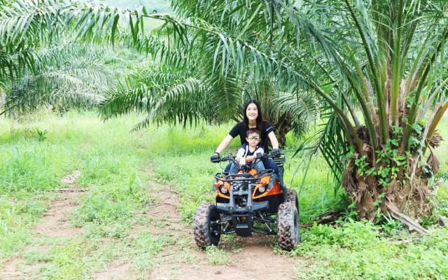 The Rubber Tree Resort