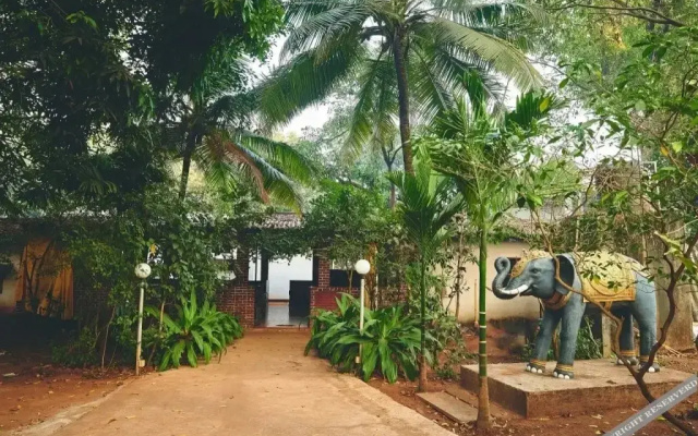 Natures Nest Resort