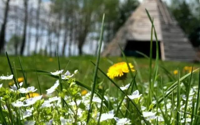 Wesoły Diabeł