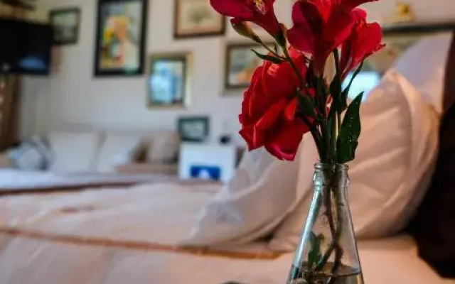 Art Gallery Guest House