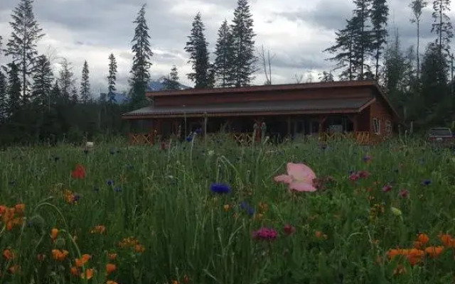 Willow Ranch