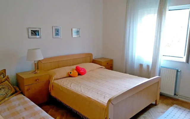 Apartments VESNA