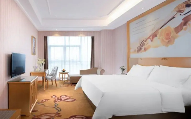 Vienna International Hotel (Technology University Store, Pingshan , Shenzhen)