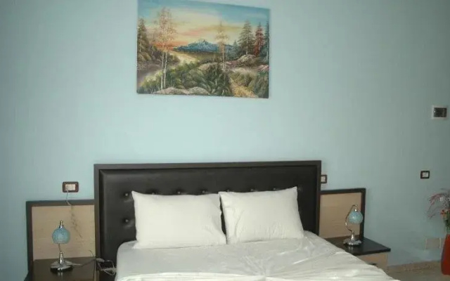 Hotel Aleksiona