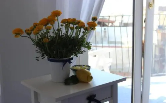 Casa Blu Cobalto