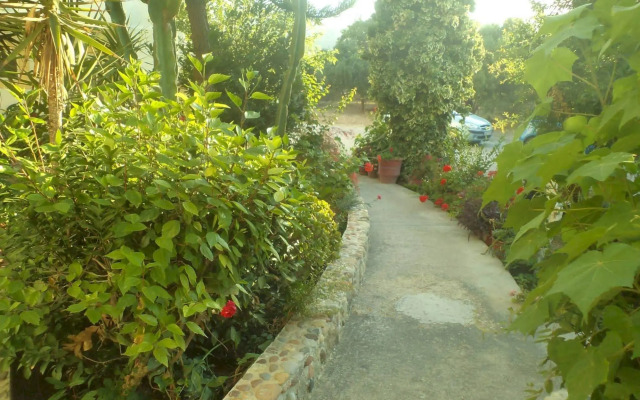 Afentouli Studios