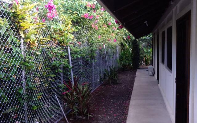 Отель Cabinas Tropicales Puerto Jimenez Ринкон вид на фасад