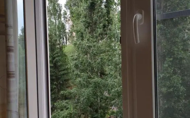 Apartment Naberezhnaja Irtysha im.Slavskogo