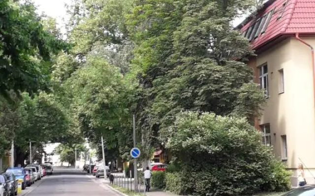Kodály Apartman