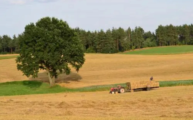 Wyspa Świerków