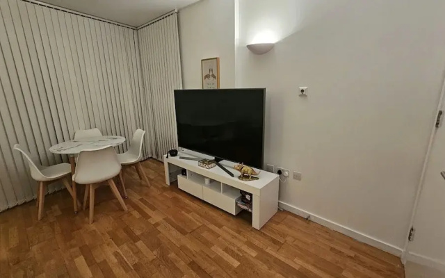 Luxury Apartment in Canary Wharf