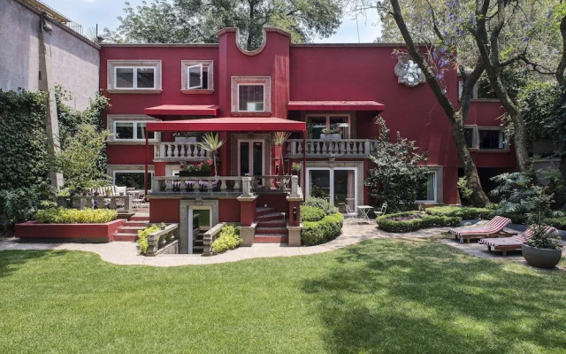 Pug Seal B&B Coyoacan