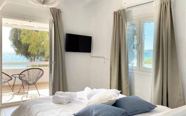 Palm Suite Blue