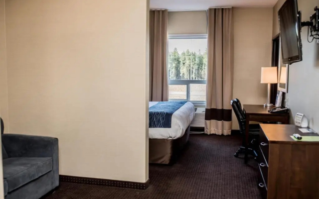Comfort Inn & Suites