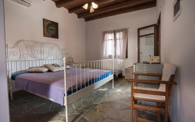 2AG252-House with a pool in Andros