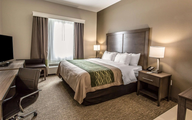 Comfort Inn & Suites Snyder