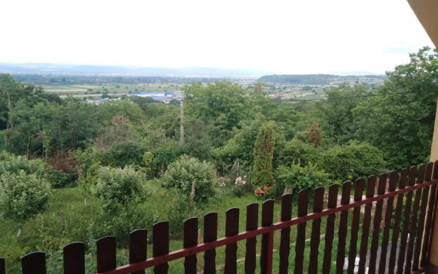 Dedinje
