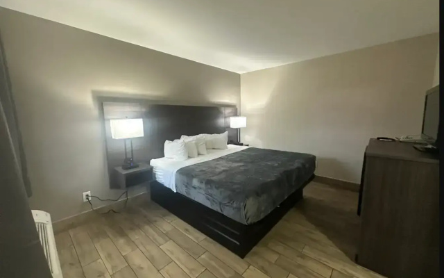Budget Inn - St. Petersburg