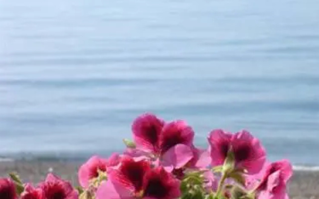 Vatera Beach Hotel