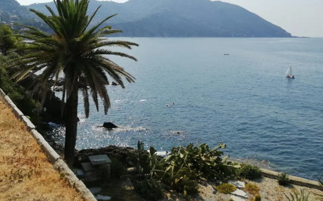 Il Grecale