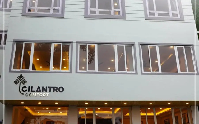 Cilantro Comfort