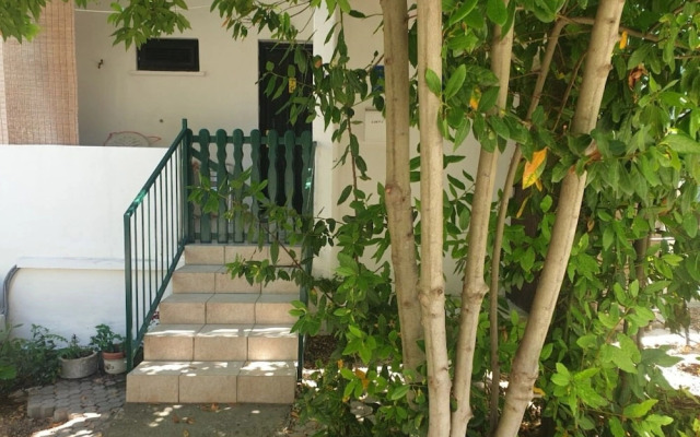 Apartment Darina