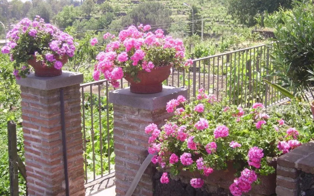 B&B Villa Dagala