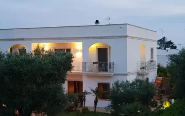 Villa Sofia Bed and Breakfast 2
