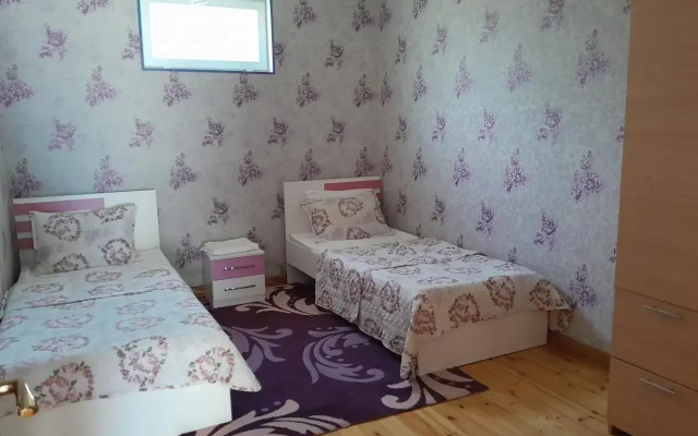 Gabala villa Exceptional