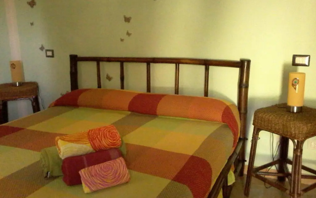 B&B Meladormo