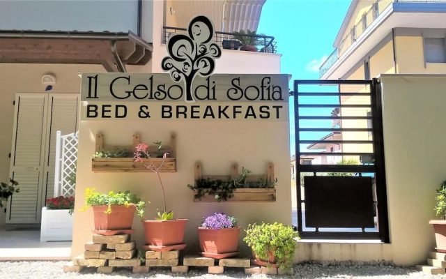 Il Gelso di Sofia