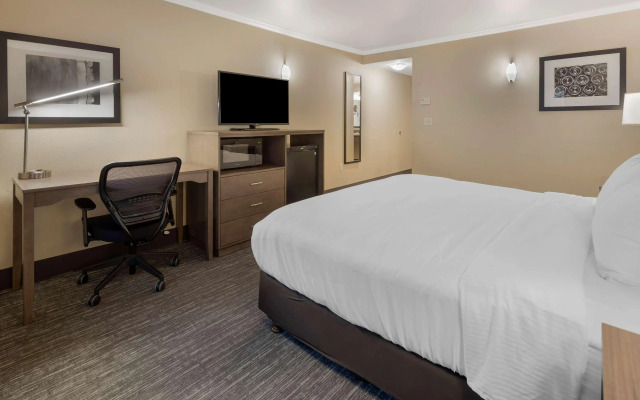 Best Western Plus Chena River Lodge