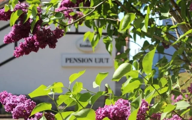 Pension Ujut