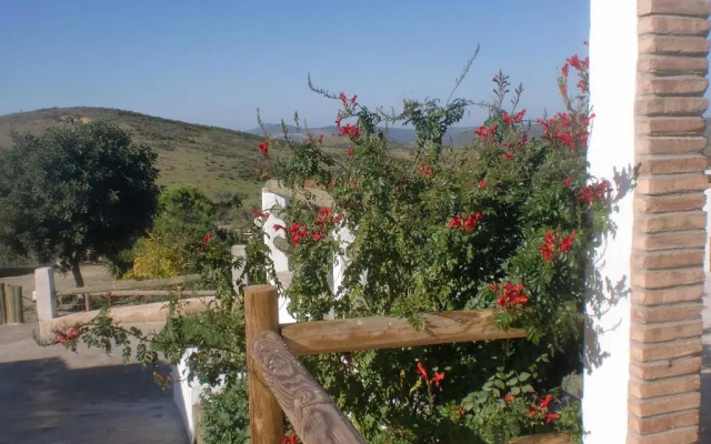 Horta da Quinta