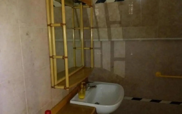 Gecko's House